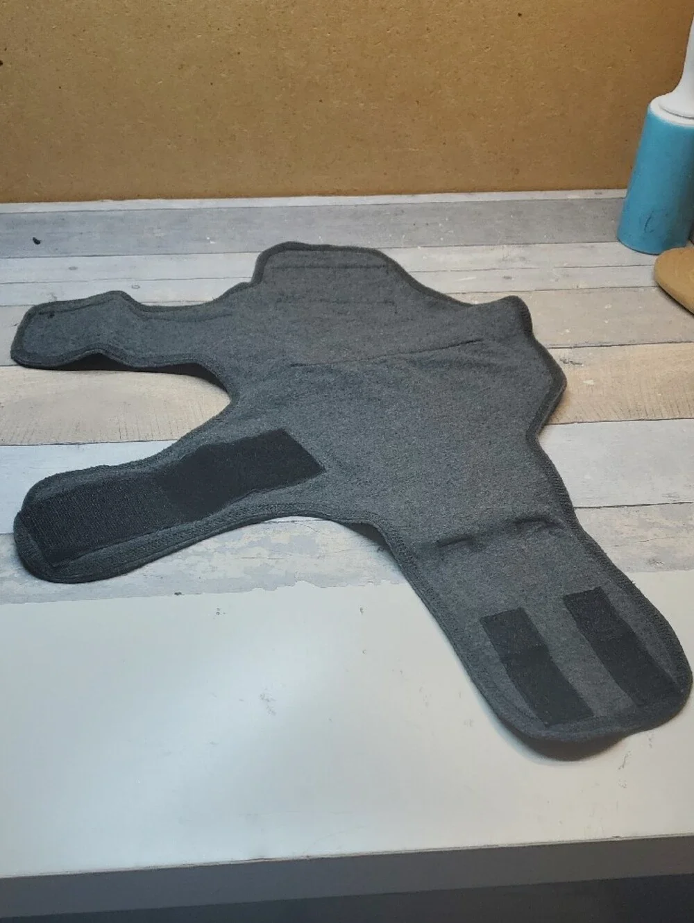 Thundershirt dogs anxiety